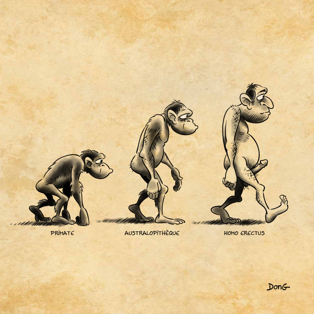Dessin représentant l'évolution de l'être humain. À gauche un singe (légende "Primate"), au milieu un homme préhistorique (légende "Australopithèque"), à droite un homme debout en érection (légende "Homo erectus")