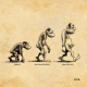 Dessin représentant l'évolution de l'être humain. À gauche un singe (légende "Primate"), au milieu un homme préhistorique (légende "Australopithèque"), à droite un homme debout en érection (légende "Homo erectus")