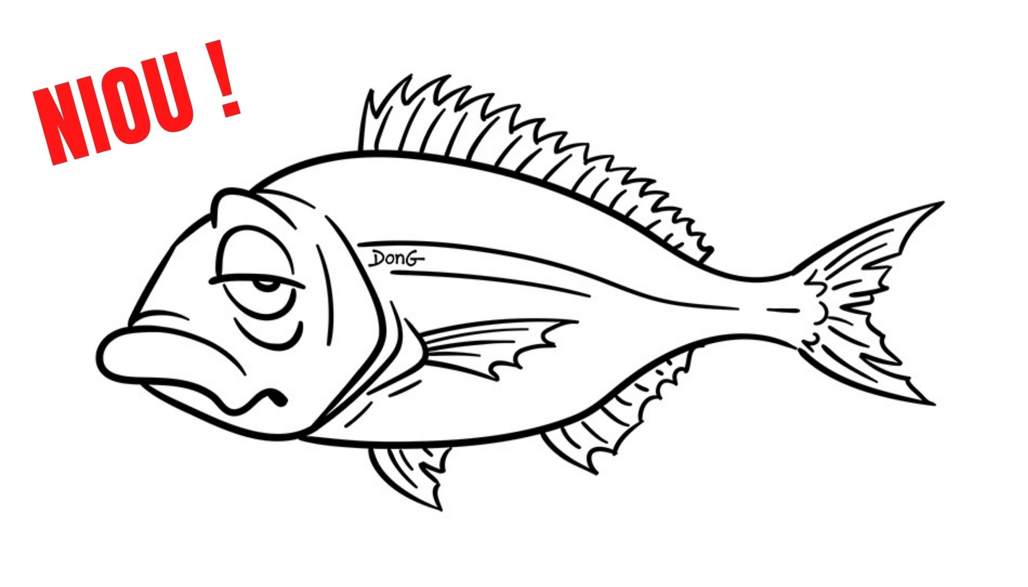 Poisson d'avril ! Daurade Niou