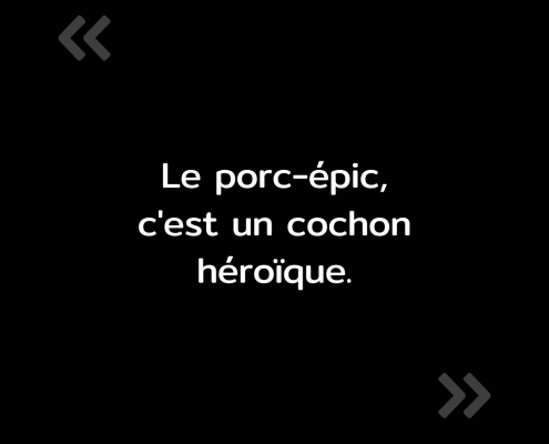 Texte de l'image : "Le porc-épic, c'est un cochon héroïque."