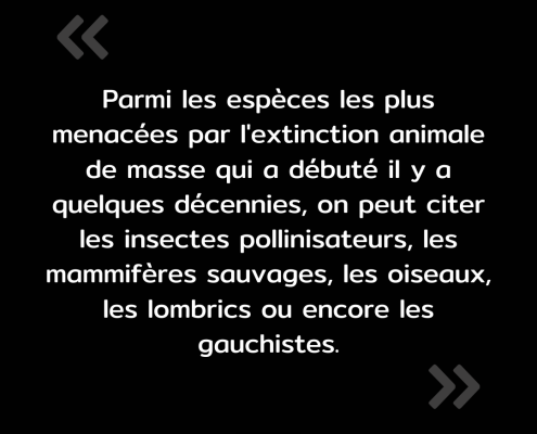 Texte de l'image : "Parmi les espèces les plus menacées par l'extinction animale de masse qui a débuté il y a quelques décennies, on peut citer les insectes pollinisateurs, les mammifères sauvages, les oiseaux, les lombrics ou encore les gauchistes."