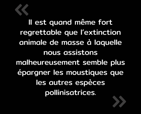 Texte de l'image : "Il est quand même fort regrettable que l'extinction animale de masse à laquelle nous assistons malheureusement semble plus épargner les moustiques que les autres espèces pollinisatrices."