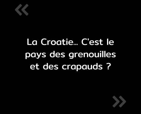 Texte de l'image : "La Croatie, c'est le pays ses grenouilles et des crapauds ?"