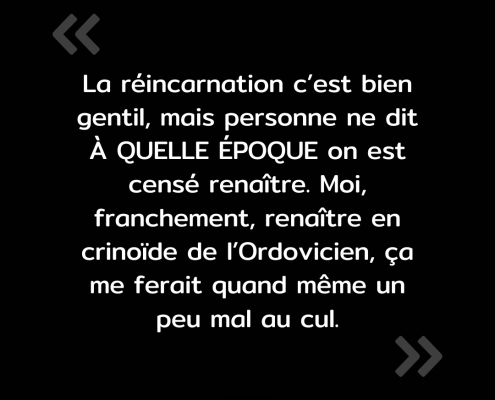 Texte de l'image : "La réincarnation c'est bien gentil, mais personne ne dit à quelle époque on est censé renaître. Moi, franchement, renaître en crinoïde de l'Ordovicien, ça me ferait quand même un peu mal au cul."