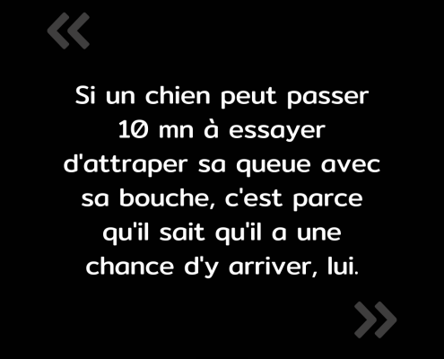 Texte de l'image : "Si un chien peut passer 10 mn à essayer d'attraper sa queue avec sa bouche, c'est parce qu'il sait qu'il a une chance d'y arriver, lui."