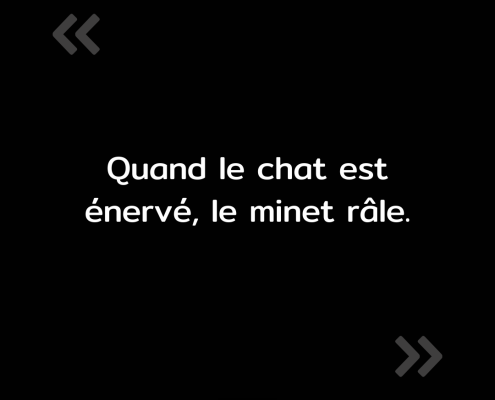 Texte de l'image : "Quand le chat est énervé, le mine râle."