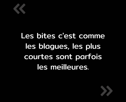 Texte de l'image : "Les bites c'est comme les blagues, les plus courtes sont parfois les meilleures."