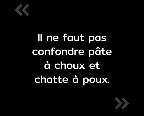 Texte de l'image : "Il ne faut pas confondre pâte à choux et chatte à poux."