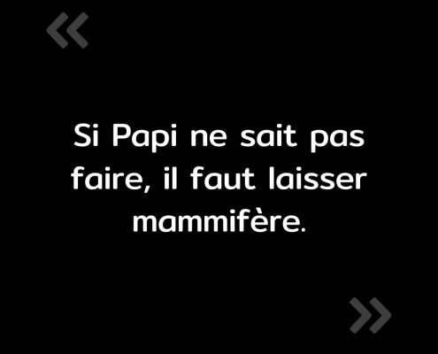 Texte de l'image : "Si Papi ne sait pas faire, il faut laisser mammifère."