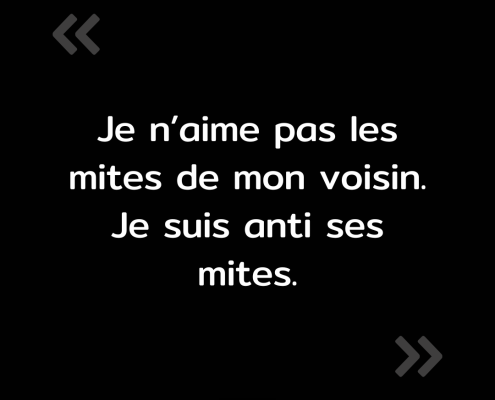 Texte de l'image : "Je n'aime pas les mites de mon voisin. Je suis anti ses mites."
