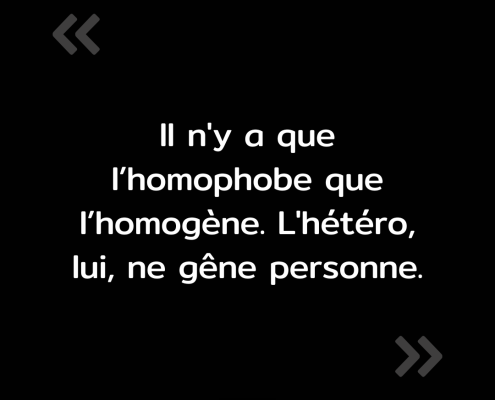 Texte de l'image : "Il n'y a que l'homophobe que l'homogène. L'hétéro, lui, ne gêne personne."