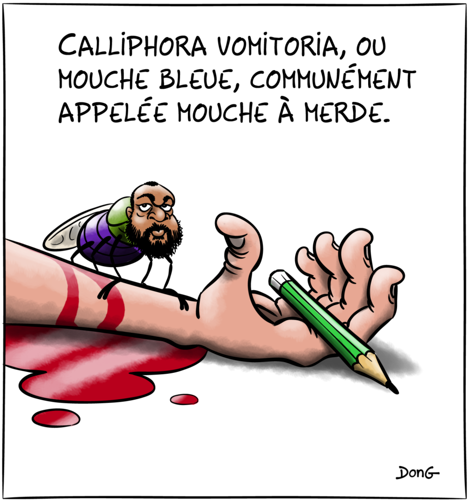 Dessin d'une mouche à merde avec la tête de Dieudonné, posée sur une main ensanglantée tenant un crayon. Légende "Calliphora Vomitaria, ou mouche bleue, communément appelée mouche à merde". 