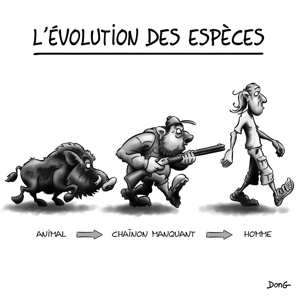 Dessin imitant le schéma de l'évolution de l'Homme, et représentant un sanglier (sous-titre : 